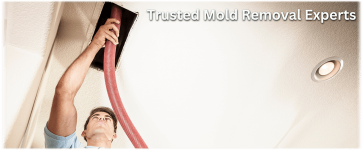 Air Duct Mold Removal in Fayetteville GA